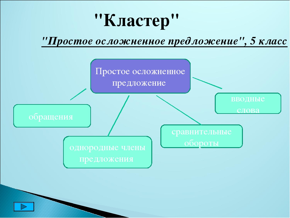 2 простых осложненных предложения. Кластер на тему простое предложение. Кластер простое осложненное предложение. Кластер по простому предложению. Простое сложное осложненное предложение.