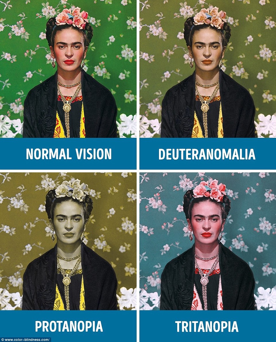 Approximately one in 20 people suffer from colour blindness, a condition that makes the world a duller place to look at. But if you have not got the condition, it might be difficult to imagine how the world looks through someone else