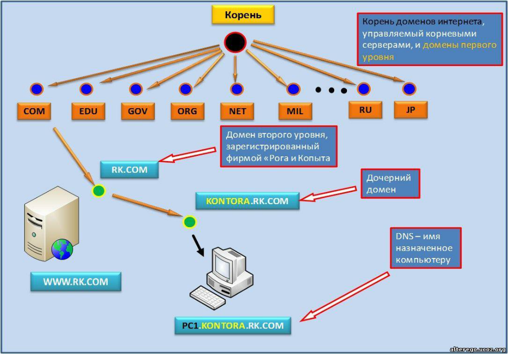 корень доменных имен