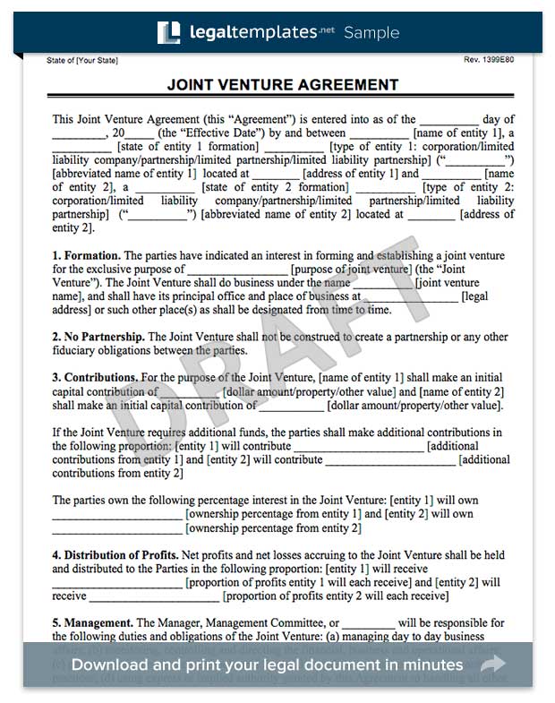 Joint Venture Agreement Form