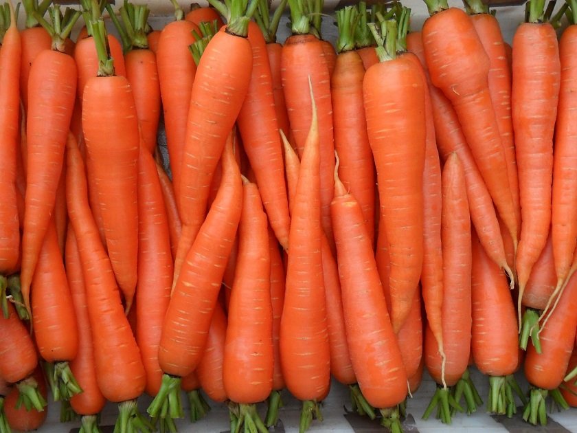 томаты и морковь