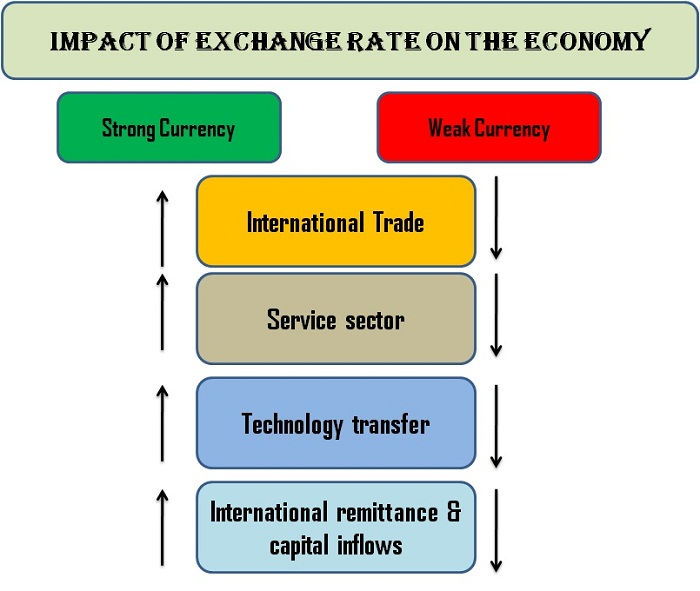 Impact of the Exchange Rate on the Economy