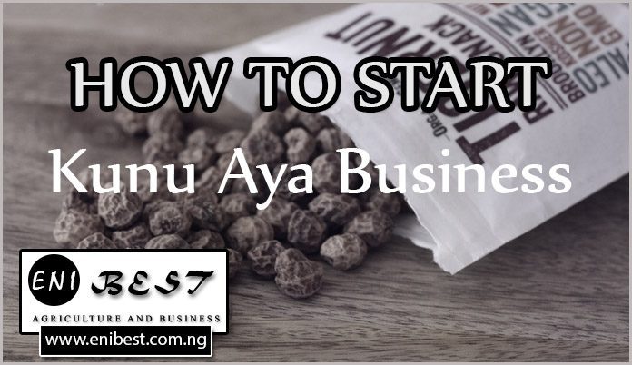 how to start kunu aya business-3-696x402